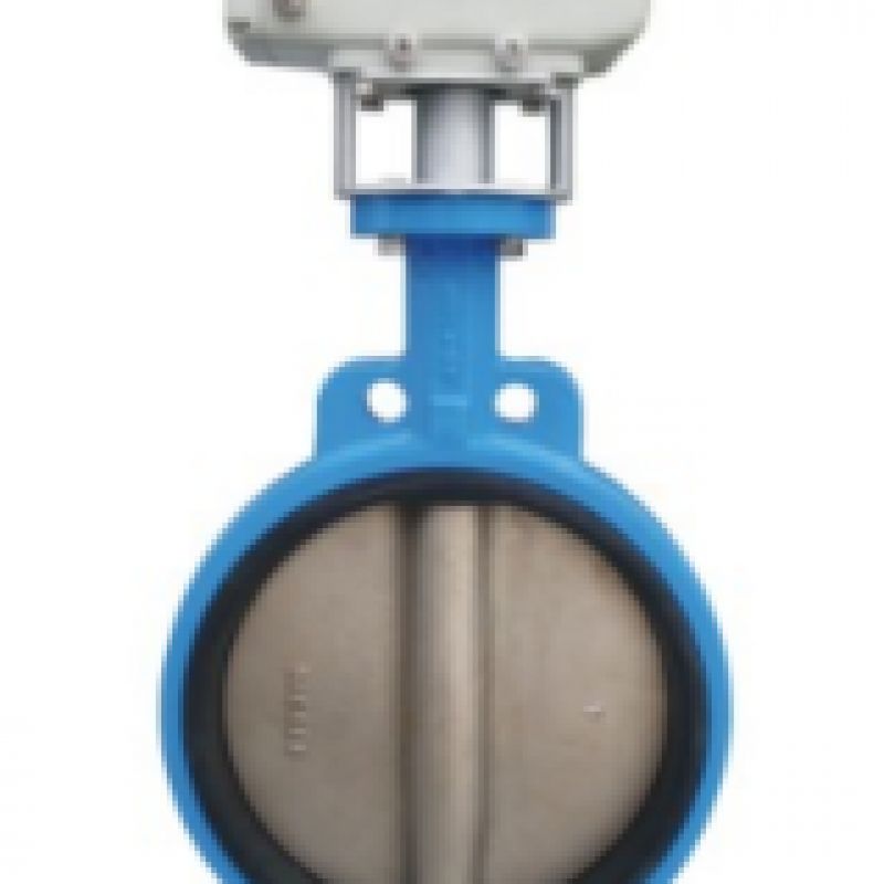 HL-DX100X1-10电动蝶阀